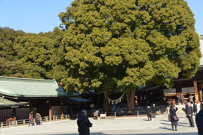 f0212586_1155657.jpg