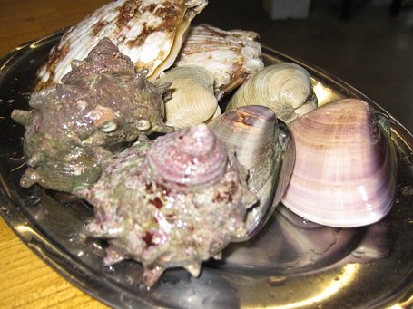 e0147297_930454.jpg