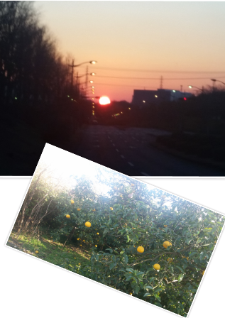 e0143298_226288.png