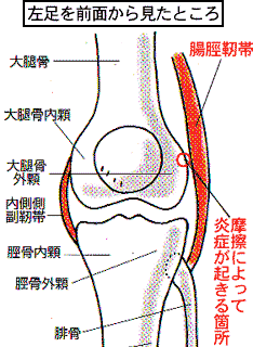 b0130100_10531225.png