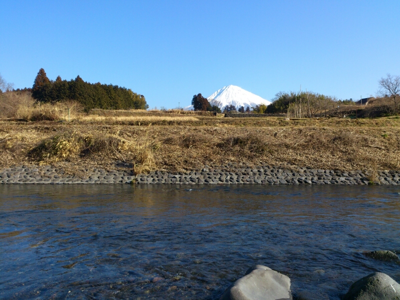 富士の湧水 渓流解禁前に記録更新_f0266202_19412533.jpg