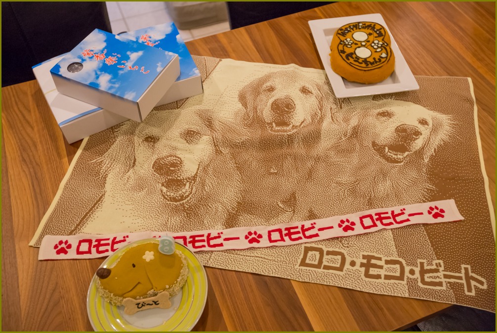 ビート8歳_e0117503_21542682.jpg
