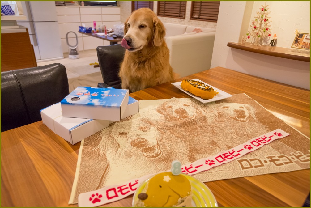 ビート8歳_e0117503_2251860.jpg