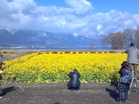 琵琶湖大橋の方へ_b0335604_21475546.jpg