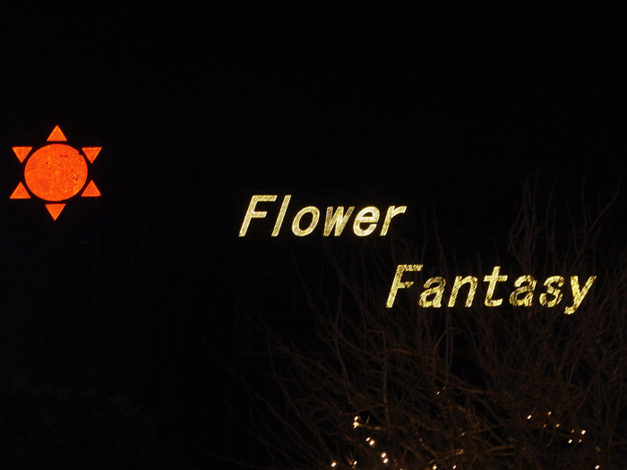 Flower Fantasy_e0276411_23341340.jpg