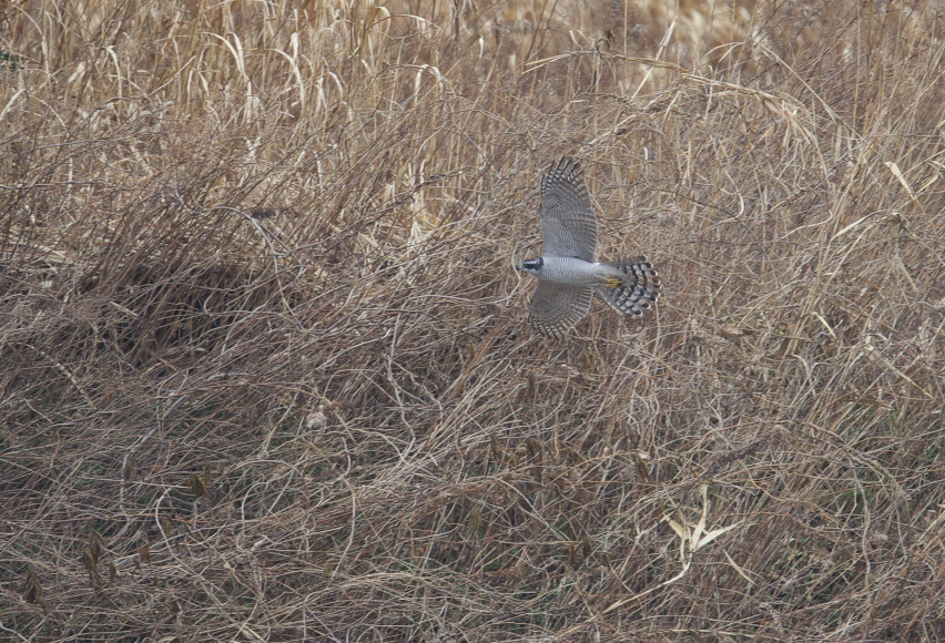 f0288418_123479.jpg