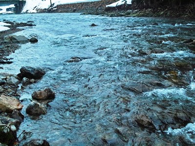 現在の積雪35cm、気温0.1℃　　　朽木小川・気象台より_c0044819_740482.jpg