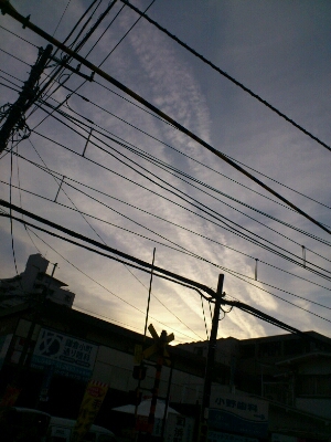 a0268321_16365538.jpg