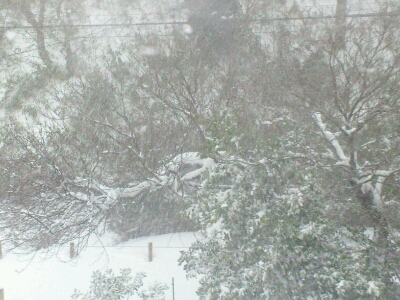 a0268321_1643635.jpg