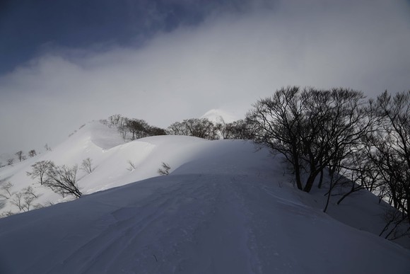b0062024_20121456.jpg