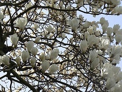 b0349624_06081758.jpg