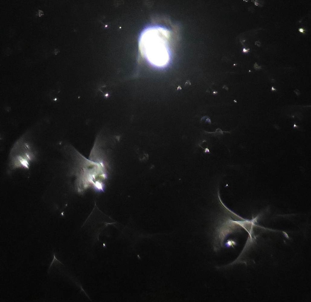 c0331825_13242653.jpg