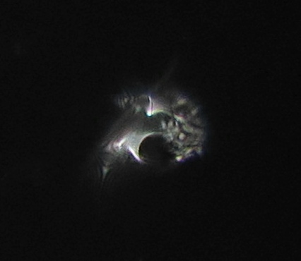 c0331825_13401093.jpg