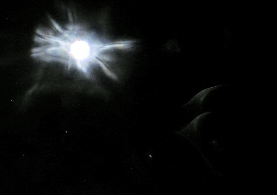 c0331825_13525150.jpg