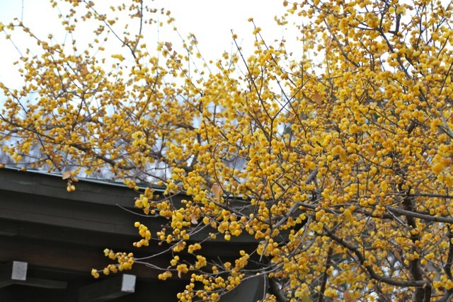f0348831_22264357.jpg