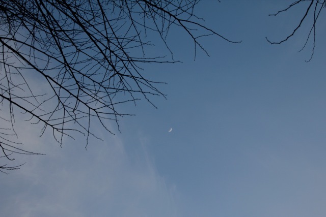 f0348831_22294690.jpg