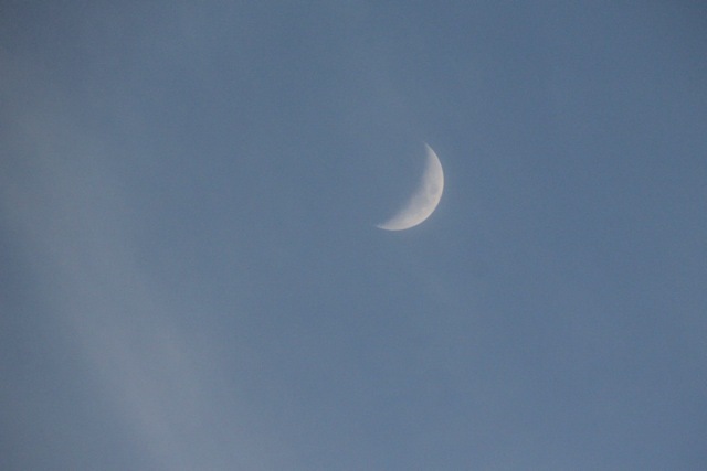 f0348831_22295187.jpg