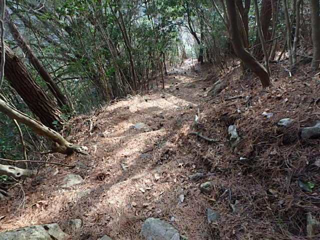 f0334143_21284037.jpg