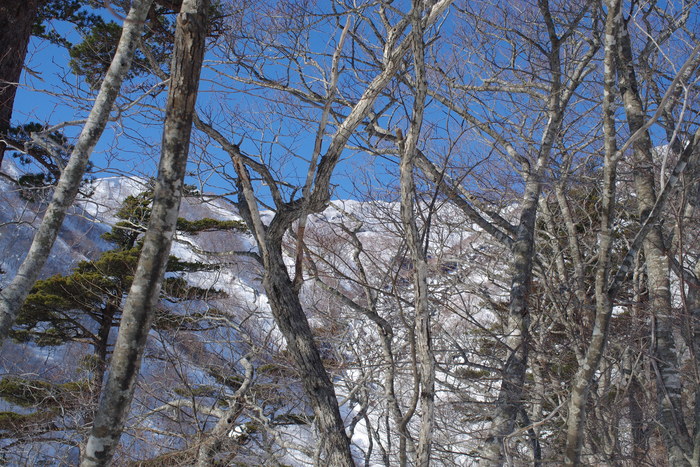 c0077847_22262352.jpg
