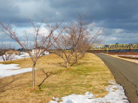 b0238249_17414474.jpg