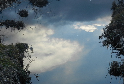 e0172950_80645.jpg