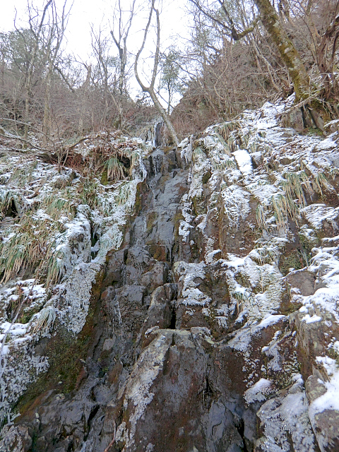 f0356953_21551915.jpg
