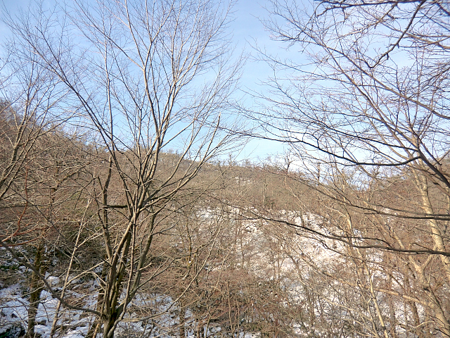 f0356953_22024010.jpg