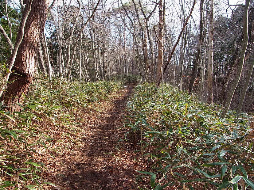 今日は蕃山に登って来たよ。_d0072855_17242683.jpg