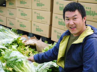 熊本セロリ「清正人参」 今期の出荷の大詰め!ラストチャンスをお見逃しなく!!_a0254656_17423090.jpg