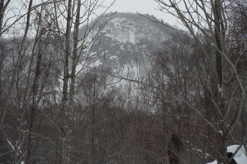 冬の大倉山に登った･･･雪はトモダチ_c0294658_19500808.jpg