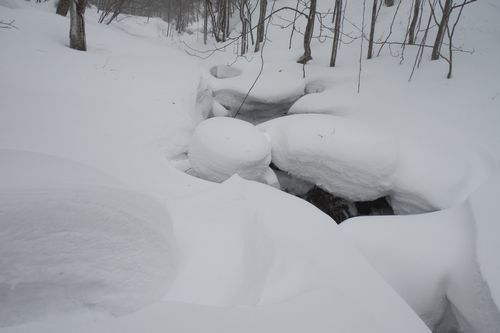 冬の大倉山に登った･･･雪はトモダチ_c0294658_19503795.jpg