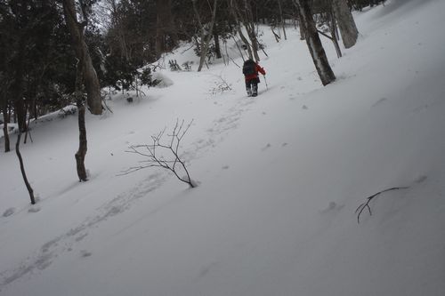 冬の大倉山に登った･･･雪はトモダチ_c0294658_20110315.jpg