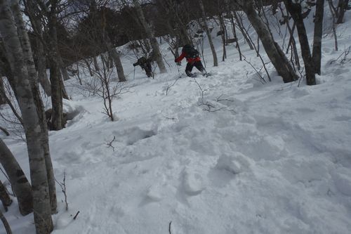 冬の大倉山に登った･･･雪はトモダチ_c0294658_20111574.jpg