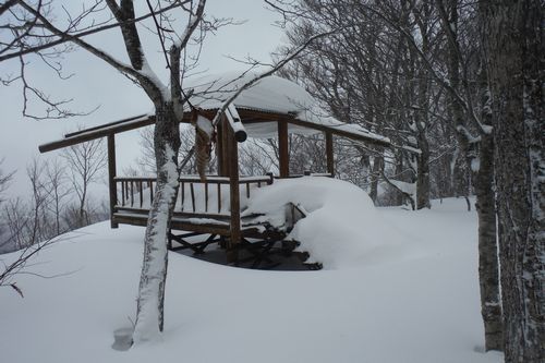 冬の大倉山に登った･･･雪はトモダチ_c0294658_20112720.jpg