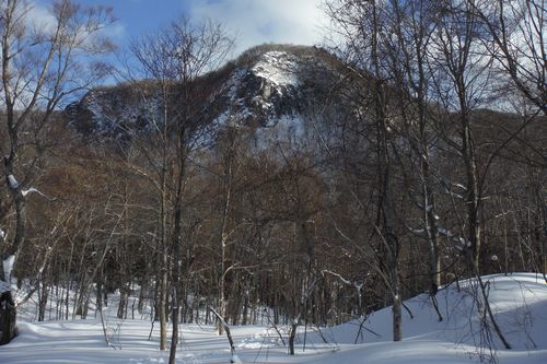 c0294658_20213417.jpg