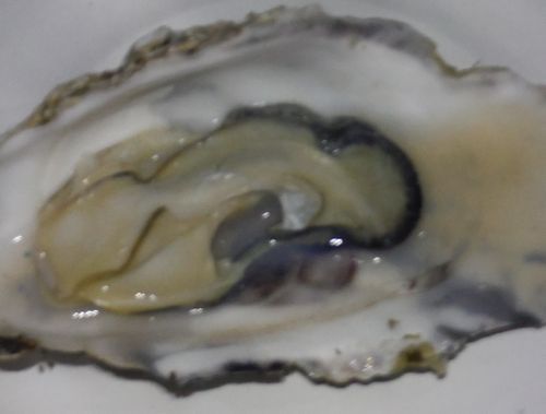c0294658_20302370.jpg