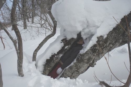 冬の大倉山に登った･･･雪はトモダチ_c0294658_20363850.jpg