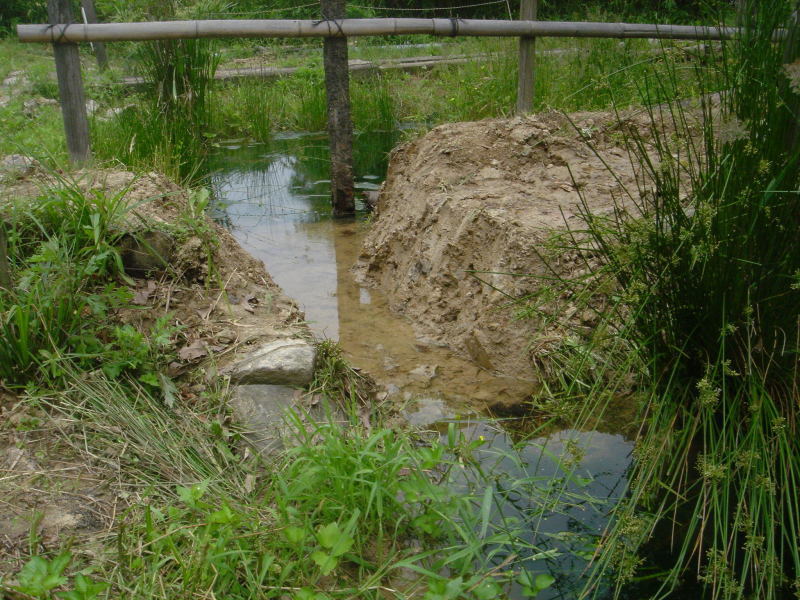 ビオトープの各池の連絡水路掘り　　　in　　　うみべの森_c0108460_20564609.jpg