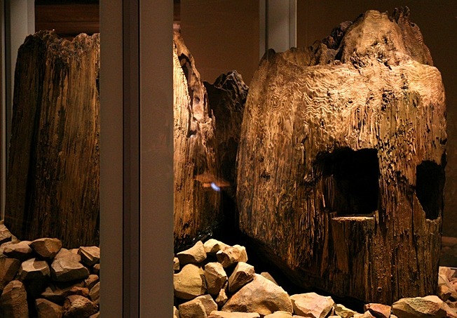 c0119160_12451274.jpg
