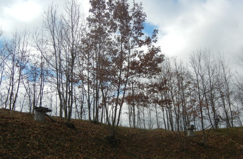 b0129962_16144637.jpg