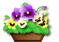 e0129862_16433034.gif
