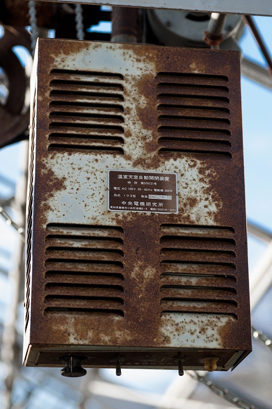 b0198768_21471262.jpg