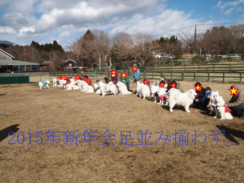 d0251768_21134921.png