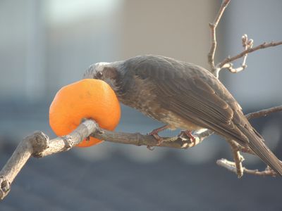 暮らしを豊かにするロケーション_c0274374_19232819.jpg