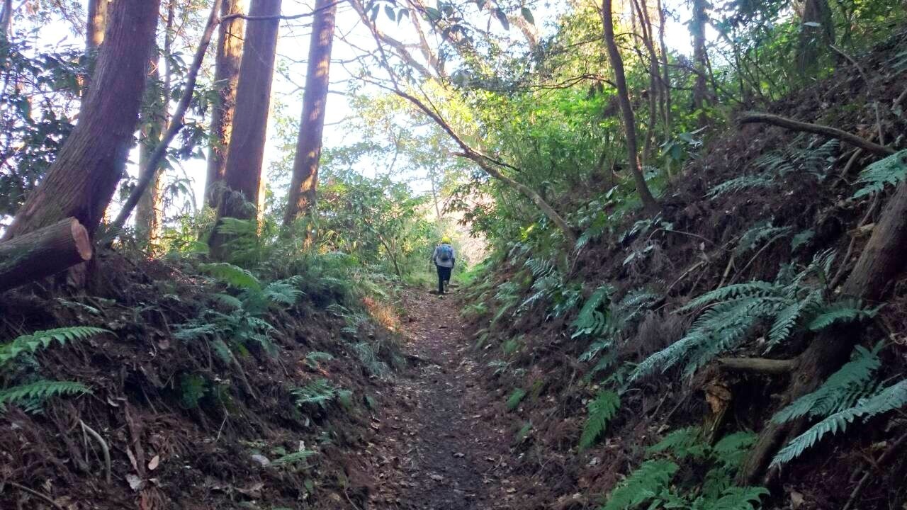 Sunday Morning Run & Beer (多摩川左岸トレイル ＆ 鎌倉トレイル & 三浦アルプス)_b0219778_16272889.jpg