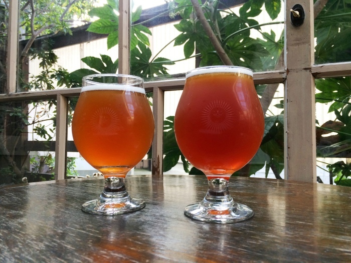 Sunday Morning Run & Beer (多摩川左岸トレイル & 鎌倉トレイル & 三浦アルプス)_b0219778_16290002.jpg