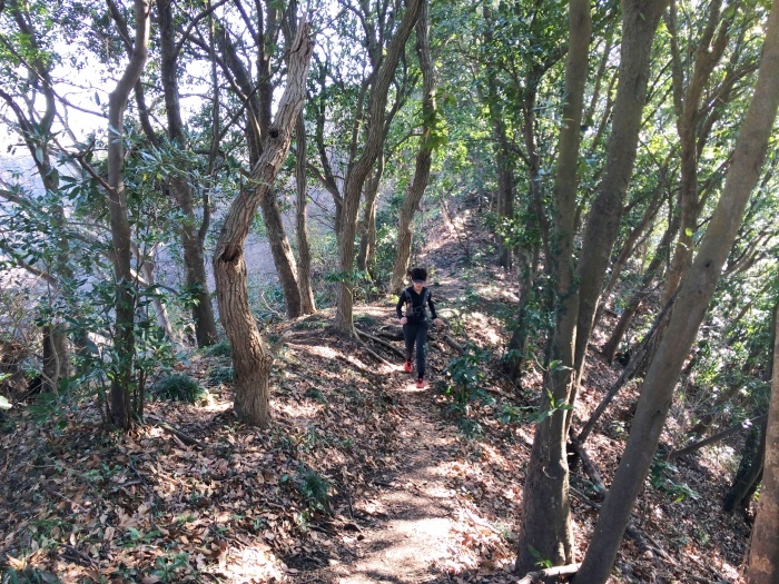 Sunday Morning Run & Beer (多摩川左岸トレイル & 鎌倉トレイル & 三浦アルプス)_b0219778_20370112.jpg