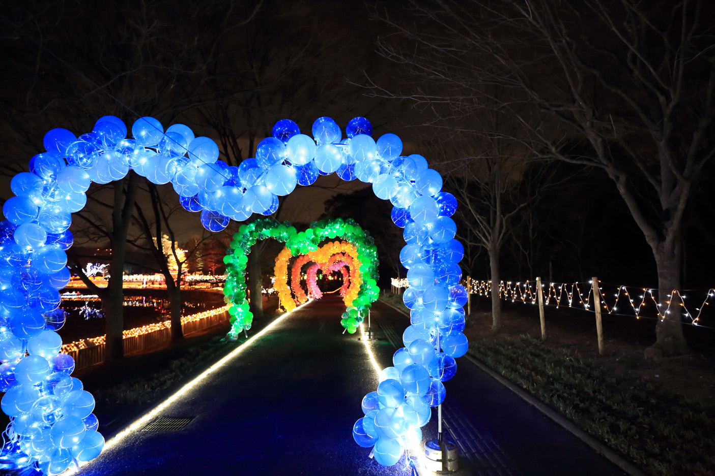 長居植物園ガーデンイルミネーション_c0141986_161623.jpg