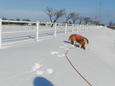 f0205887_121191.gif