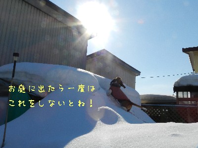 f0205887_121566.jpg
